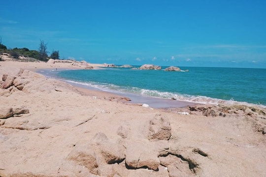 Cách Sài Gòn 2 giờ lái xe, có một bãi biển xanh trong như “Tuyệt tình cốc giữa rừng phi lao”