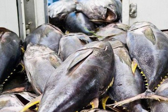 “Siêu thực phẩm” của Việt Nam thu về 86 triệu USD trong tháng 4, Mỹ, châu Âu đều là khách ruột