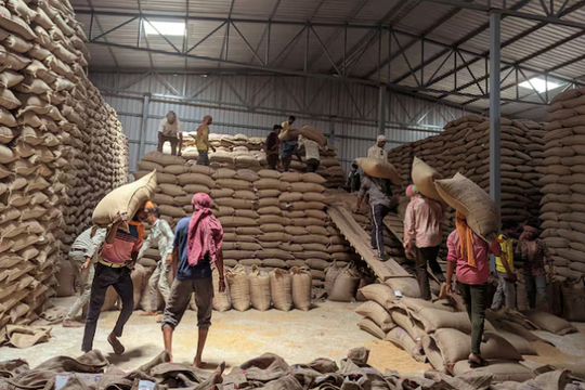 Sau gạo, Ấn Độ lại ‘phả hơi nóng’ lên một loại nông sản quan trọng: Vụ mùa bội thu lấp đầy kho dự trữ, thị trường toàn cầu đối mặt áp lực giá