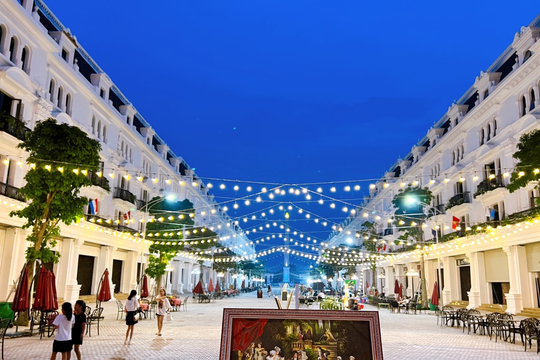 Một doanh nghiệp có tiếng trên sàn muốn vay hàng nghìn tỷ để làm khu phố đi bộ tại Thái Nguyên