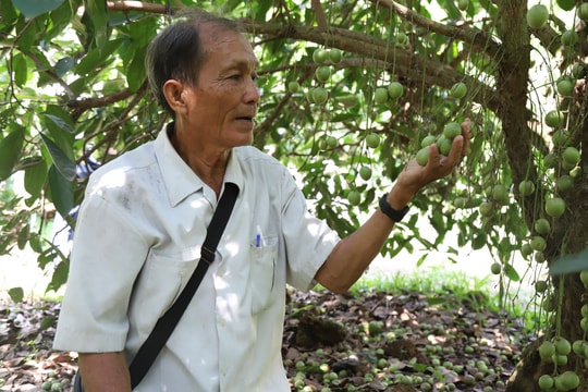 Ở tuổi xế chiều, người nông dân Tây Ninh mở "khu vườn cổ tích" giữa lòng phố, thu về thứ quý hơn cả tiền