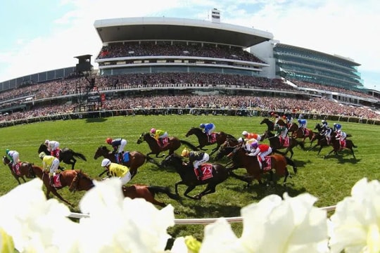 "Ngựa ô" sắp chia cổ tức cao kỷ lục, cổ phiếu tăng sốc 3.100% chỉ trong 1 năm