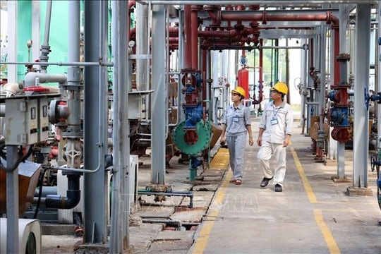 Sản xuất mặt hàng còn thiếu hụt trong nước, một doanh nghiệp đang đón gió thuận từ thị trường và chính sách