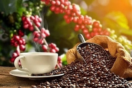 Dự báo giá cà phê ngày 3/6/2025: Thị trường có tiếp tục dò đáy?