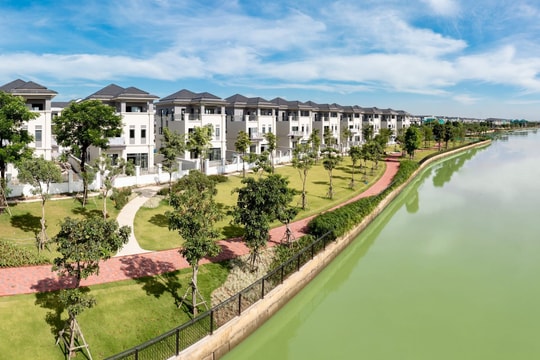 Novaland giảm tỷ lệ sở hữu, dòng tiền vẫn chảy mạnh vào Aqua City