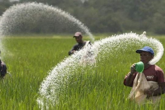 Doanh nghiệp "bạn của nhà nông" lại sắp chia tiền cho các cổ đông, mỗi cổ phiếu nhận về 2.500 đồng