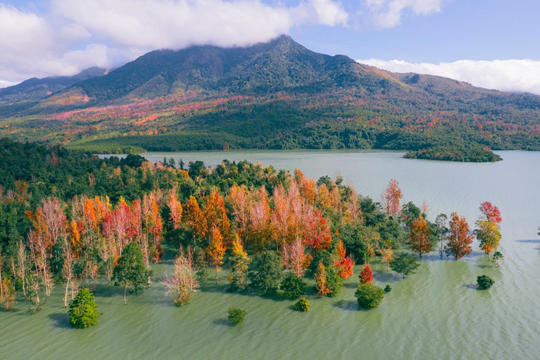 Có một “tiểu Đà Lạt” giữa lòng Quảng Trị: Bốn mùa trong ngày, rừng phong đỏ lửa đẹp như tranh