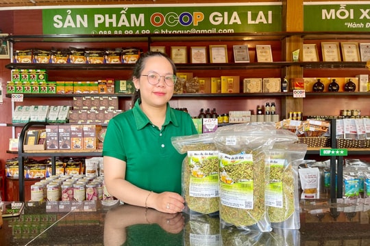 Kết nối để làm giàu, nông dân Gia Lai “nâng tầm” nông sản bản địa thành đặc sản được săn đón, cuộc sống ngày càng khấm khá