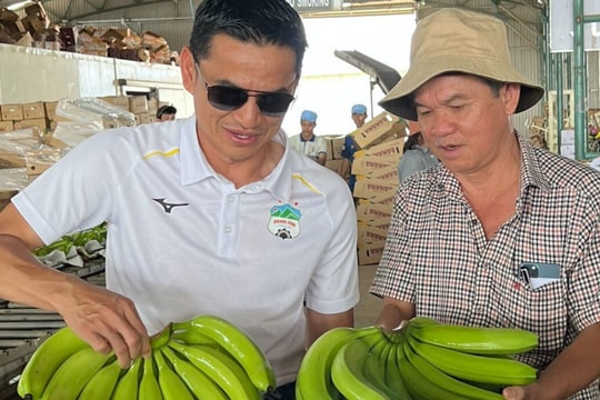 Bầu Đức chấp nhận việc 1/5 công ty sẽ về tay các chủ nợ