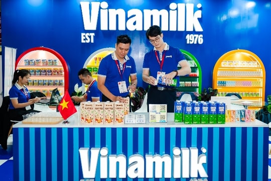Giữa biến động thị trường, cổ phiếu Vinamilk (VNM) còn hấp dẫn?