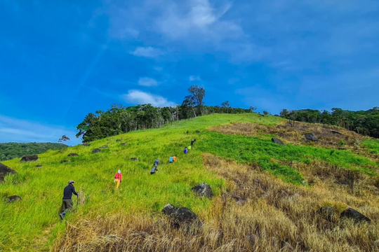 Vùng đất mới ở miền Trung sau sáp nhập: Vừa có “báu vật đặc biệt”, vừa sở hữu vịnh biển xanh đẹp mê hồn