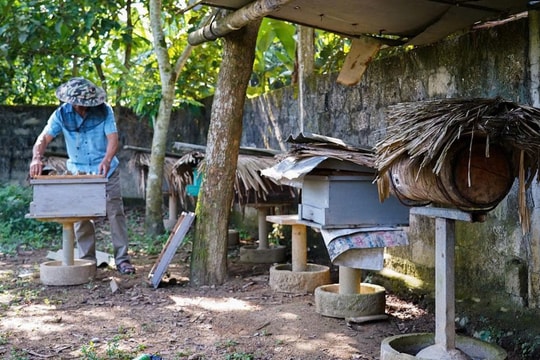 Giữa nắng hè đổ lửa, nông dân Hà Tĩnh "thu vàng" từ thứ ngọt ngào, tự dựng thương hiệu nổi tiếng, thu nhập lên đến 9 chữ số