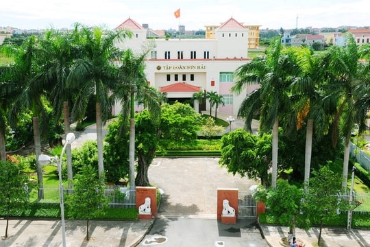 Sau kiến nghị của Sơn Hải, Bộ Tài chính lập tổ công tác kiểm tra đấu thầu cao tốc TP.HCM–Chơn Thành