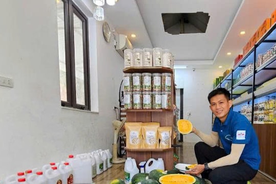 Đang khó khăn chồng chất, nông dân Nghệ An bất ngờ tìm được "bí kíp vàng" trên điện thoại, giờ giống quả mới vừa đắt hàng vừa có lợi nhuận cao