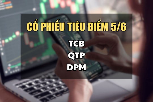 Cổ phiếu tiêu điểm hôm nay 5/6: TCB, QTP, DPM