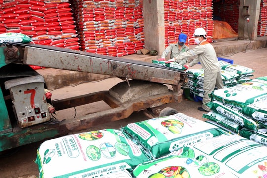 Một doanh nghiệp phân bón chi cổ tức cao nhất gần một thập kỷ, tỷ suất vượt mặt lãi suất nhiều ông lớn ngân hàng