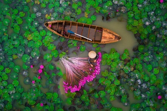 Câu chuyện buồn của cổ phiếu một thời gắn với giấc mơ du lịch miền Tây