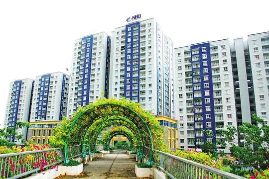 NBB chuẩn bị lấy ý kiến cổ đông, nội dung bỏ ngỏ, tiền mặt còn vỏn vẹn hơn 36 tỷ đồng