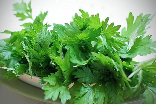 Loại rau có vị đắng nhưng lại là "vua thảo mộc" giảm huyết áp, chống oxy hóa và giảm cân cực tốt