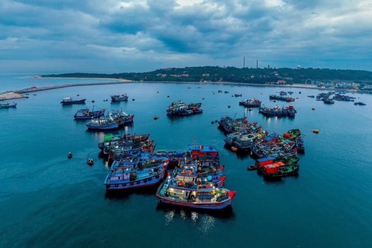 Cận kề sáp nhập, đặc khu tương lai của Hải Phòng được nhận vinh dự lớn từ Chính phủ