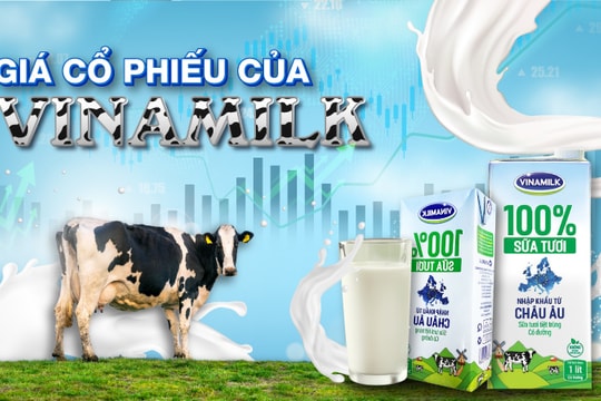 Tín hiệu cổ phiếu hôm nay: VNM bước vào chu kỳ mới