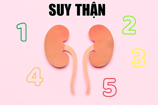 5 giai đoạn suy thận