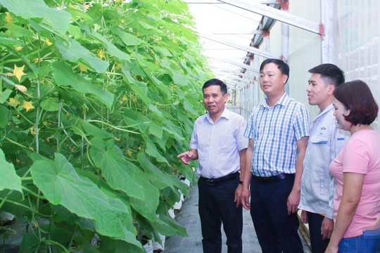 Trước giờ sáp nhập xã, huyện “chuẩn kiểu mẫu” của Nghệ An gây ấn tượng với thu nhập 61 triệu đồng/người/năm