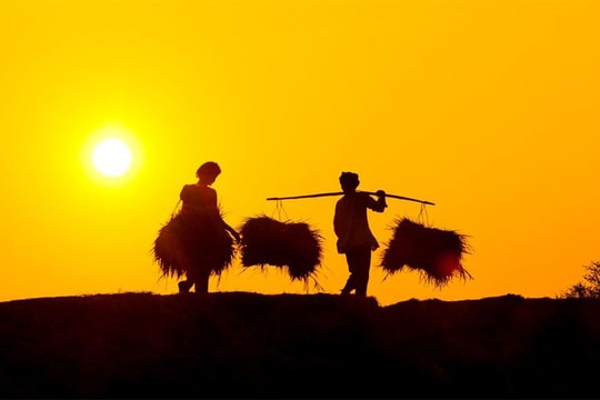 Xuất khẩu “hạt ngọc trời” mang về hơn 2,3 tỷ USD