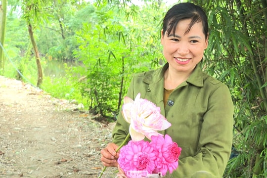 Bỏ lúa, nông dân Hưng Yên “lên đời” nhờ trồng thứ “nở ra là có tiền”, lãi gấp 7 lần trước kia