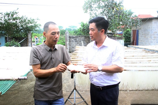 Từ giống gạo quê, nông dân Thái Nguyên làm ra thứ "đặc sản có 1-0-2", xuất khẩu hàng chục tấn qua Đức, doanh thu tính bằng tiền tỷ