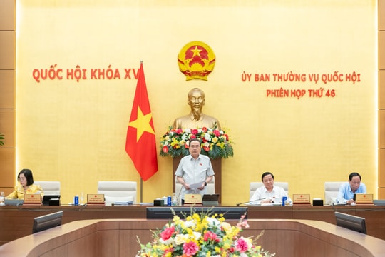 Chủ động, trách nhiệm cao, bám sát định hướng chỉ đạo của cấp có thẩm quyền