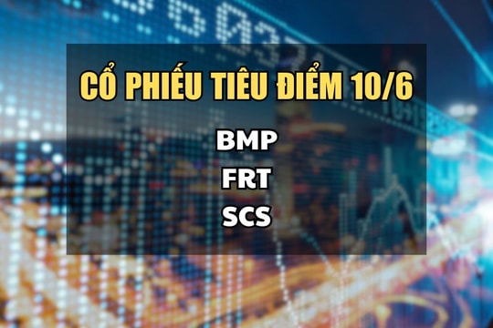 Cổ phiếu tiêu điểm hôm nay 10/6: BMP, FRT, SCS