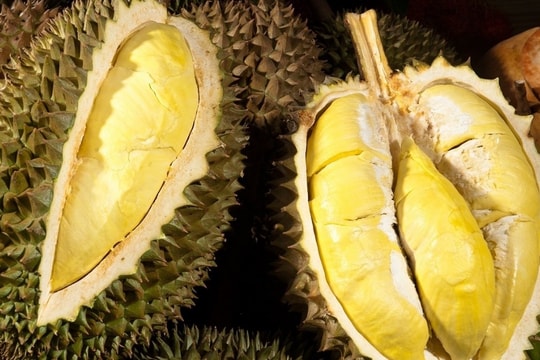 Giá sầu riêng hôm nay 11/6: Thái giảm, VIP tăng, xuất khẩu "lao dốc" không phanh