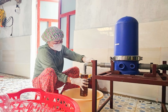 Không bảng hiệu, không quảng cáo, nông dân Quảng Trị làm ra thứ "đặc sản" có mặt ở khắp ba miền, ngồi thu cả trăm triệu mỗi năm