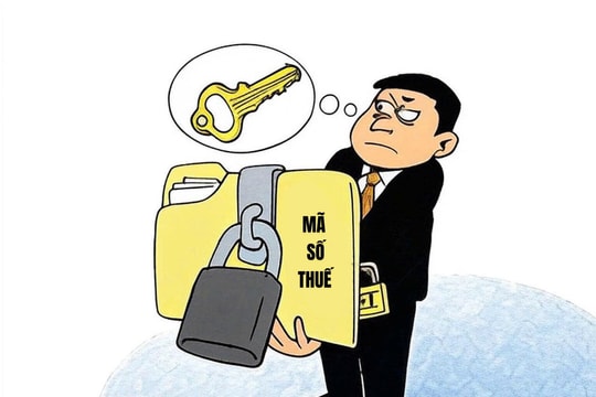 Hệ lụy pháp lý khi cho người khác mượn mã số thuế cá nhân kinh doanh