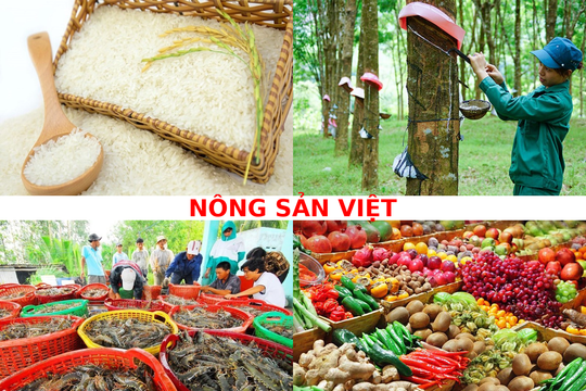 4 cổ phiếu ngành nông sản "lọt mắt xanh" công ty chứng khoán, có mã tiềm năng tăng tới 35%