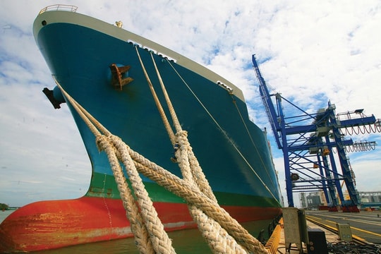 “Không dồn trứng vào một giỏ” là cách doanh nghiệp này "né đòn" thuế quan, lãi lớn gấp 7 lần