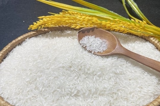 Giá lúa gạo hôm nay 13/6: Giá lúa An Giang "lao dốc" thê thảm, OM 18 giảm tới 600 đồng/kg