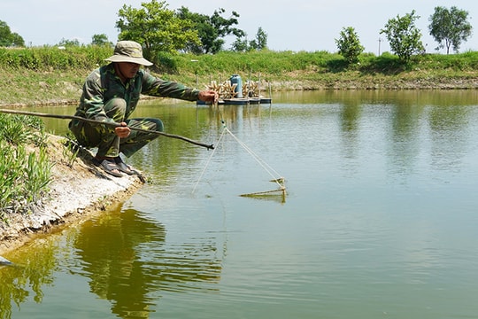 Không học quản trị, không nhà đầu tư, nông dân Quảng Bình vẫn làm nên trang trại bạc tỷ nhờ mô hình độc đáo, thu nhập hàng năm không đếm xuể
