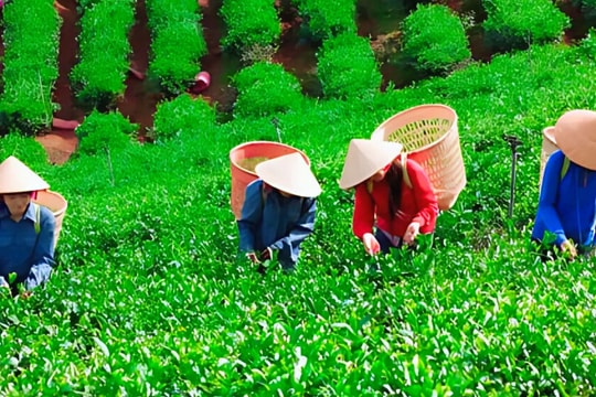 4 huyện vừa đón tin vui từ Chính phủ