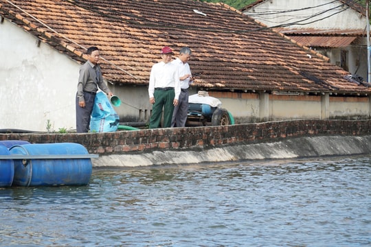Không rời ruộng đồng dù đã U70, nông dân Kon Tum làm giàu từ "đế chế độc lạ" của riêng mình, thu nhập hàng năm tính bằng tiền tỷ