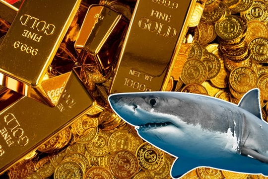 Dự báo giá vàng ngày mai 16/6: “Cá mập” quay lại, vàng tăng không phanh?