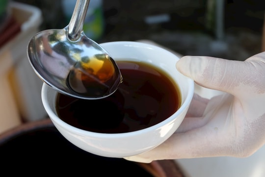 Rời phố thị Sài Gòn, nông dân Quảng Nam về quê gầy dựng lại thứ truyền thống từ người bác, nay thành công mở thương hiệu, tiền về đều tay