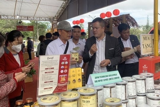 Tiến tới sáp nhập cùng Nam Định và Hà Nam, Ninh Bình đang viết lại bản đồ "bản sắc vùng quê"