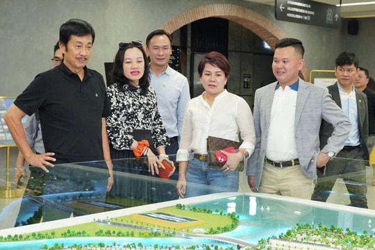 Không phải VIC hay VHM, cổ phiếu NVL mới đang trở thành "hàng hot"