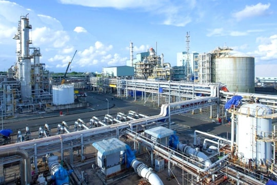 Chiến sự Trung Đông và thuế quan Mỹ thậm chí còn mở ra lối đi cho một doanh nghiệp đất mũi Cà Mau