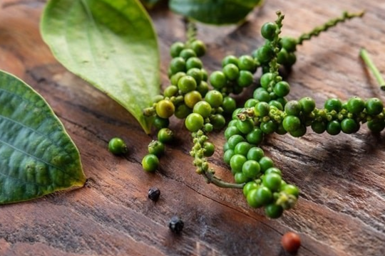 Dự báo giá tiêu ngày 17/6/2025: Liệu giá có thể phục hồi hay tiếp tục giảm?