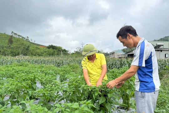 Trước giờ sáp nhập xã, phường, Quảng Ninh thúc đẩy một chương trình chiến lược có thể định hình lại khu vực nông thôn