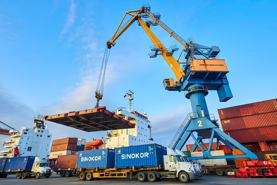 Viconship muốn đưa người vào thượng tầng Xếp dỡ Hải An sau chuỗi động thái tăng sở hữu