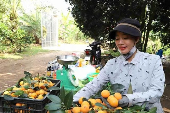 Vườn nhỏ, trái sạch, nông dân Đồng Nai sáng tạo mô hình "tận tay, tận mắt", doanh thu cao hơn hẳn, khách kéo đến như trẩy hội